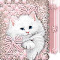 Sweet Persian Kitten