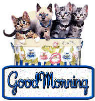 Good Morning Kitties