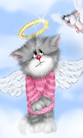 Angel Kitty