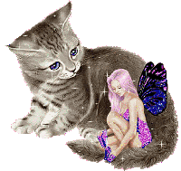 Kitten & Fairy
