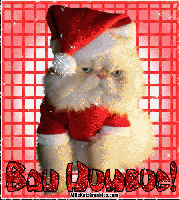 Grumpy Christmas Cat