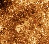 Venus 5 arach