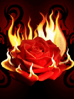 Fire Animation 9