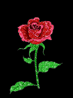 rose 1224