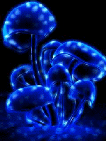 blue mushrooms