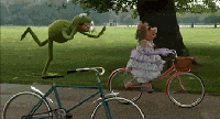 Kermit bike