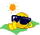 XSUNLVRX2