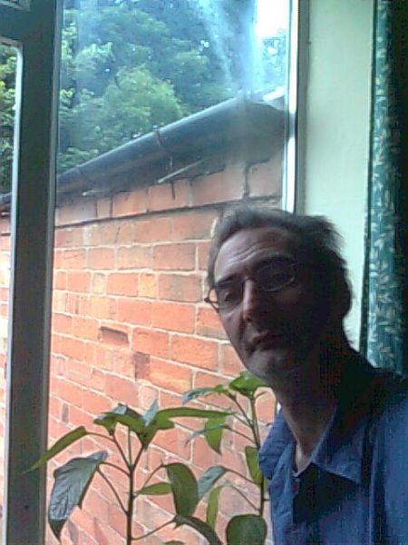 visitor