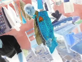 visitor