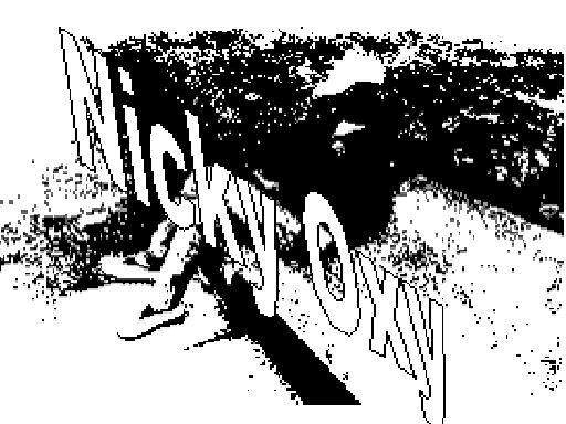 visitor