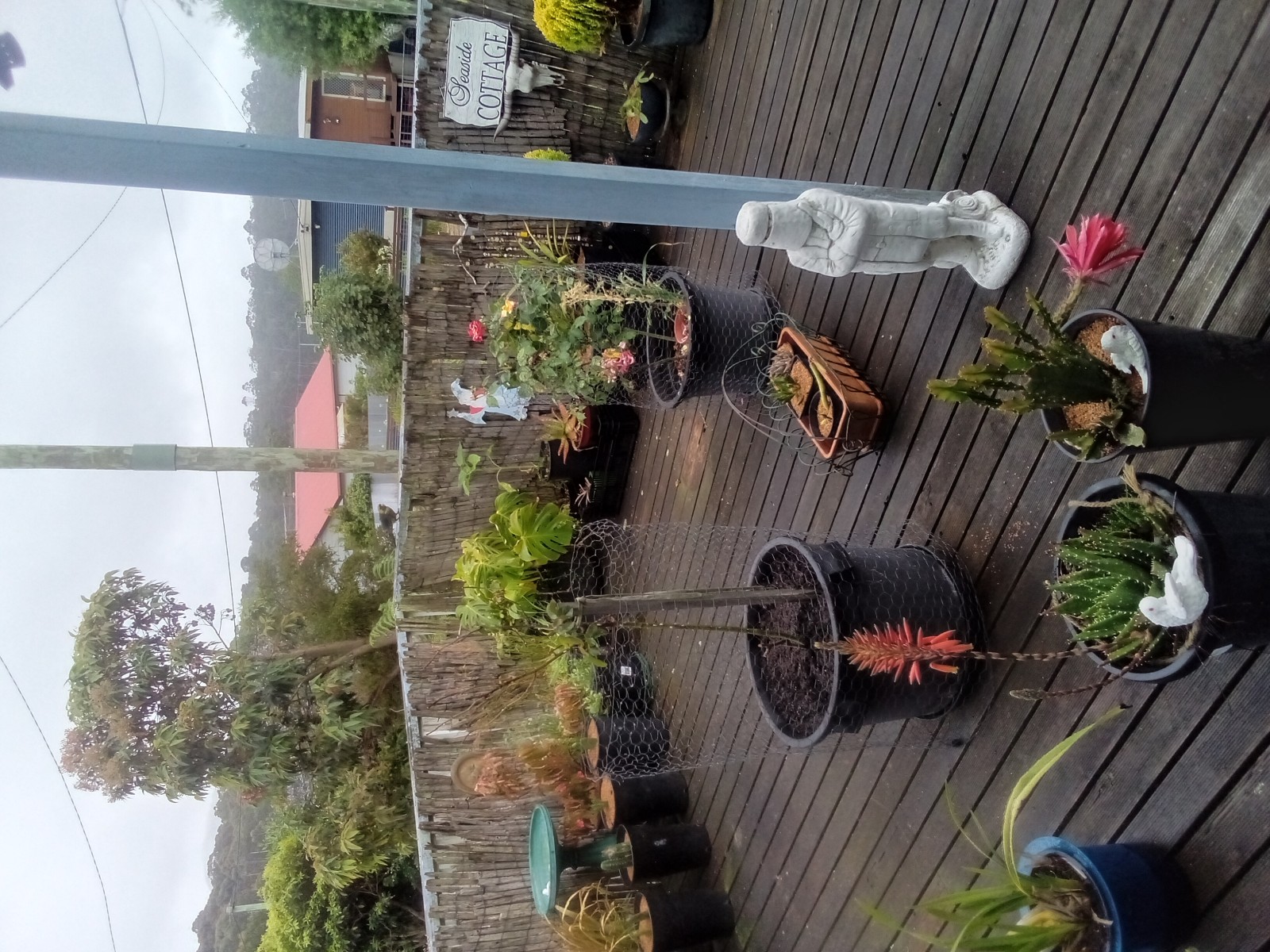 visitor