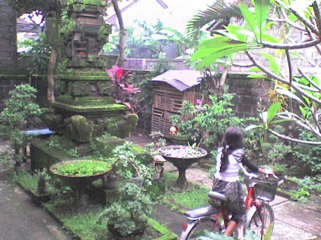 visitor