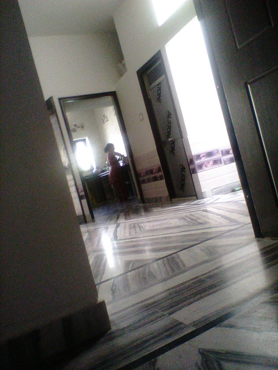 visitor