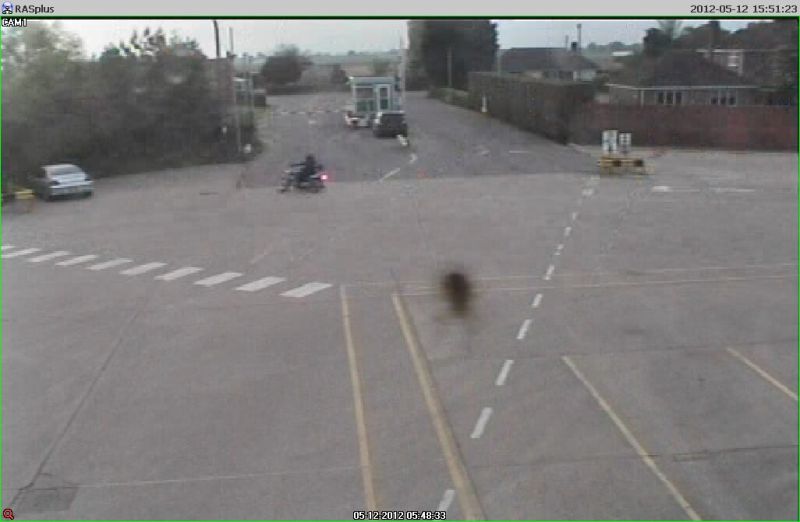 visitor