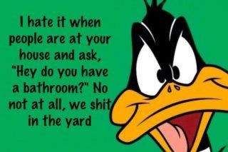visitor