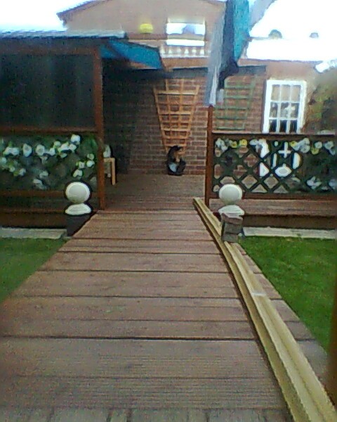 visitor