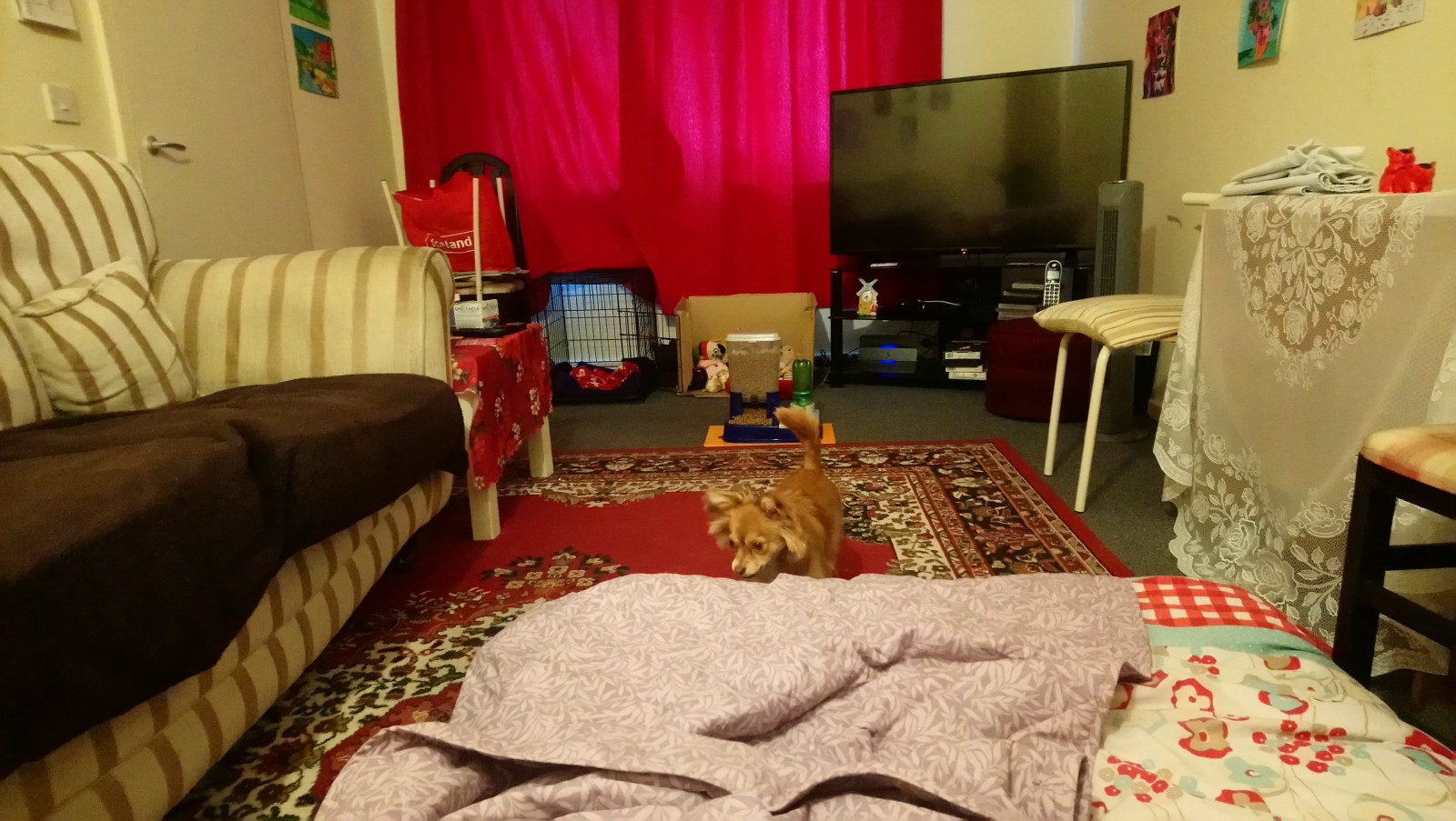 visitor