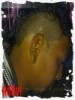 addylegendz