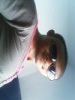 alby