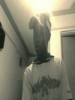 alecky