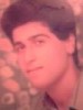 ali82