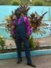 alphonso