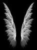 angel.eyes28