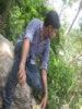 ankush90