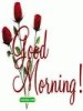 anuverma