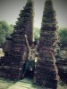 asya