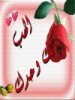 bassam60