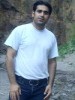 bulut
