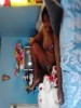 casetta