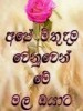 chalani1