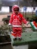 chehar