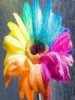 chetanl