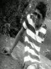chint..x