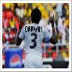 darwine