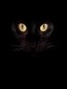 devilz.kitten