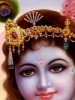 dharmendragoswami