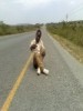 djkinglpeace