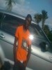 franklindoloken
