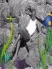 gighimua