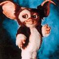 gizmo100