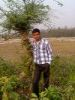 habibul