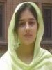 hafsal