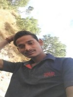 harpalkurmi
