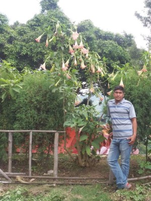 keshavkc