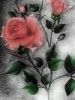 lambar
