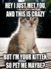 lazer.kitty